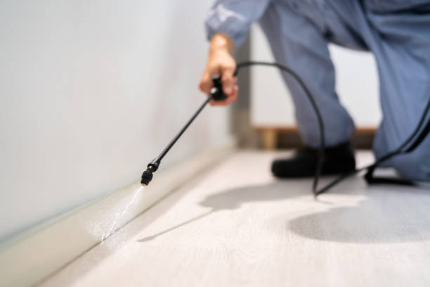 Professional exterminator conducting IPM assessment in Eldridge